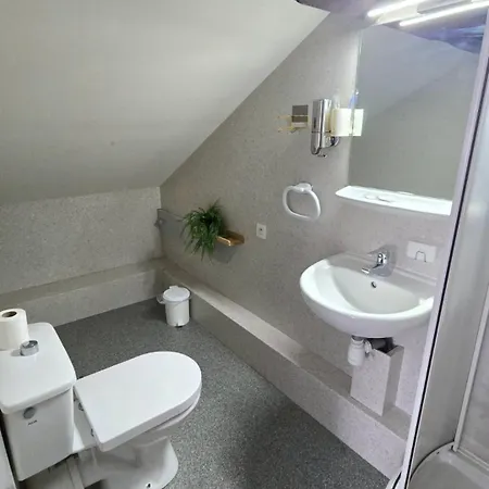 Les Poiriers - Petite 2 Mansardee Confort Avec Salle De Bain Privative Guest house