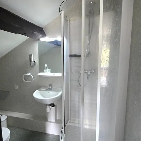 Les Poiriers - Petite 2 Mansardee Confort Avec Salle De Bain Privative 3* Vittel